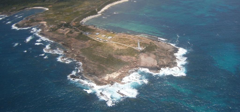 奥古斯塔乔治亚娜莫洛伊汽车旅馆 外观 照片